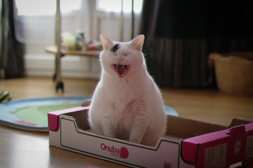 LOL赛事未来发展趋势：如何创新与突破，英雄联盟赛事目的