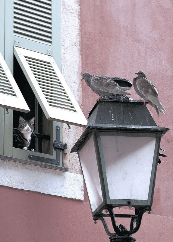 KAIYUNAPP-_快船迎难而上，攻防两端表现出色_，快船重磅引援