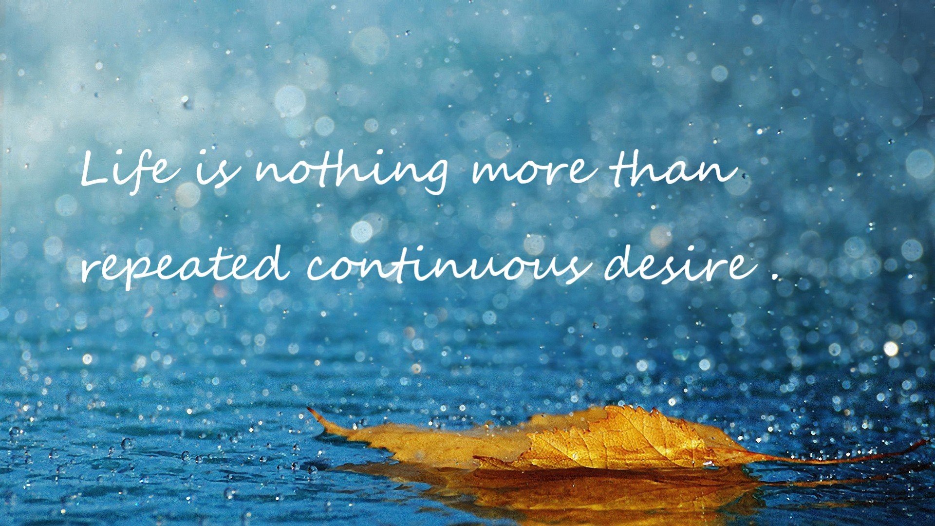 kaiyun体育综合-“自动化裁判带来的战术调整——不同规则下球队的应变策略”