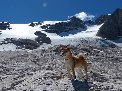 【实时数据透明】传感器和大数据让比赛更“看得懂”，传感器设备采集的数据是不是大数据