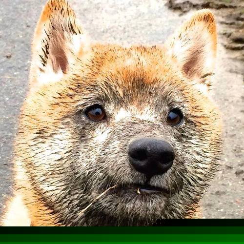 kaiyun体育综合-主场不胜！法国球迷陷入沉默，法国球迷哭了