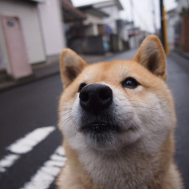 开云官网-全国田径锦标赛，百米冲刺谁能创造新纪录，全国田径冠军赛2021百米决赛