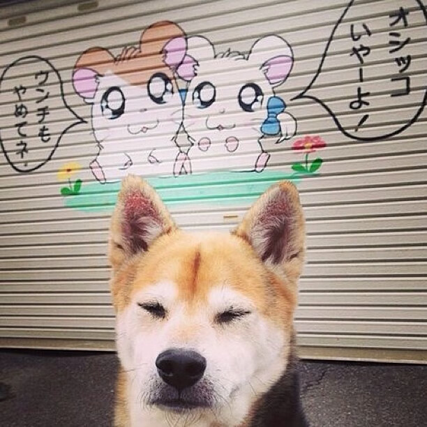 KAIYUNAPP-克罗地亚队在巴黎奥运会手球比赛中以30_29战胜日本队，克罗地亚 队