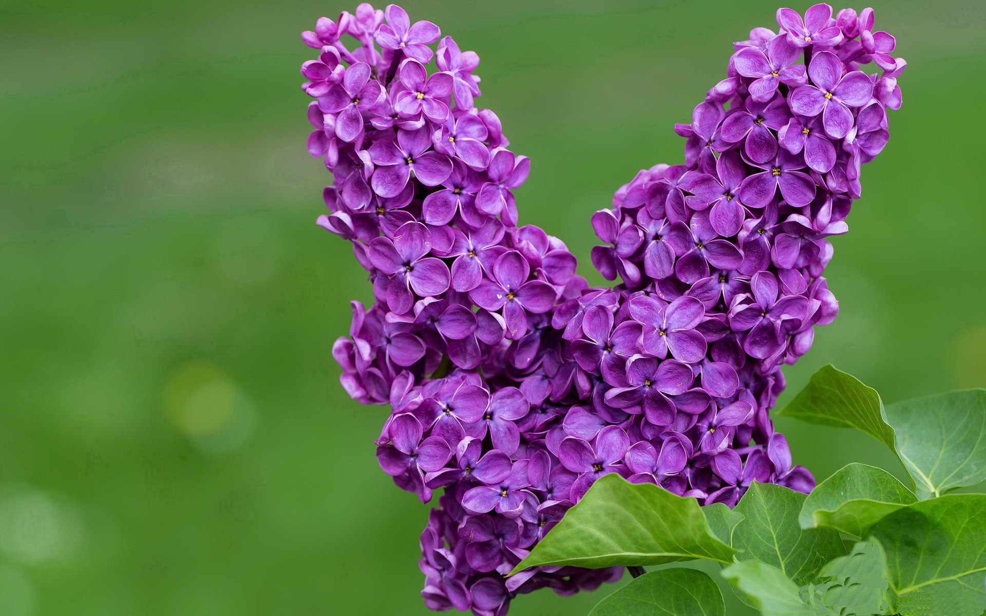 kaiyun.com-加拿大主帅：输给伊朗毫不冤枉，他们适应雪比我们好，加拿大足球主教练