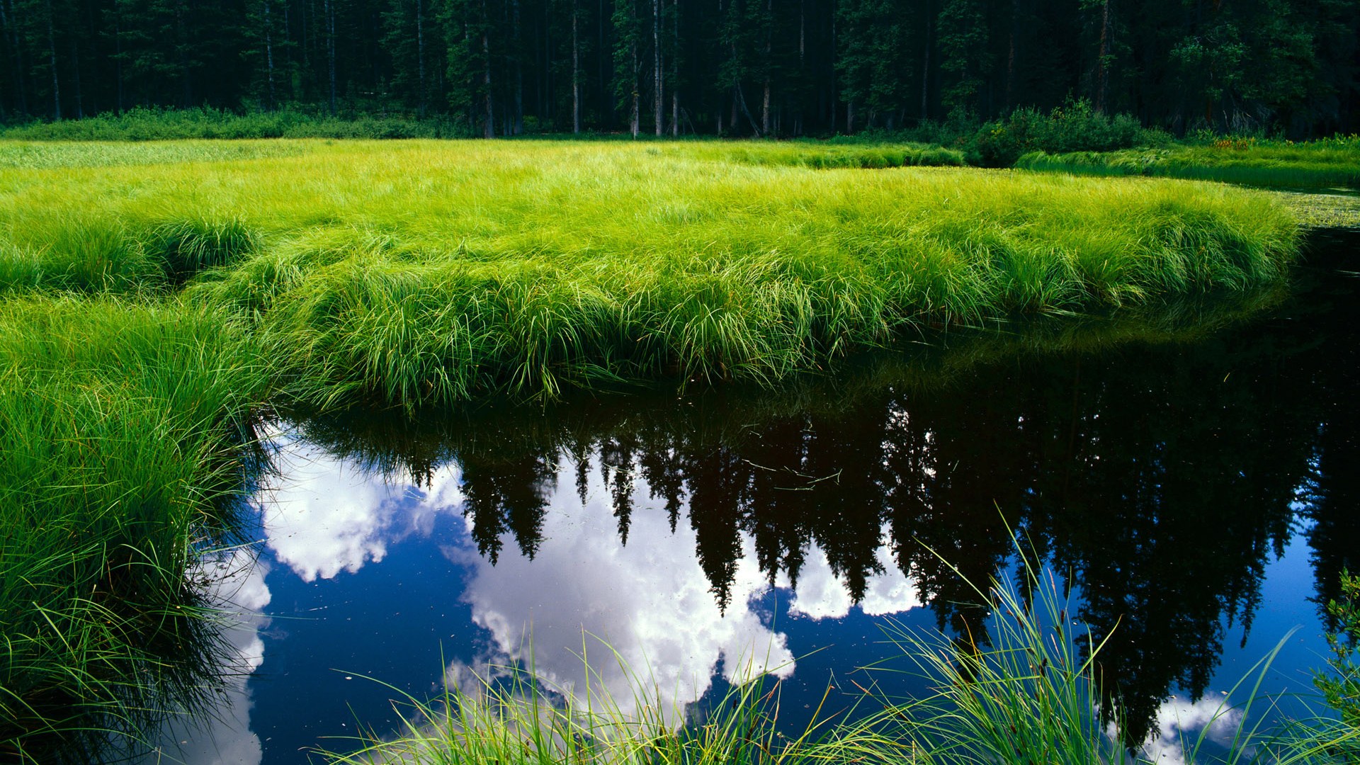 kaiyun网站-历史大事：NBA史上最具传奇色彩的事件，nba历史瞬间