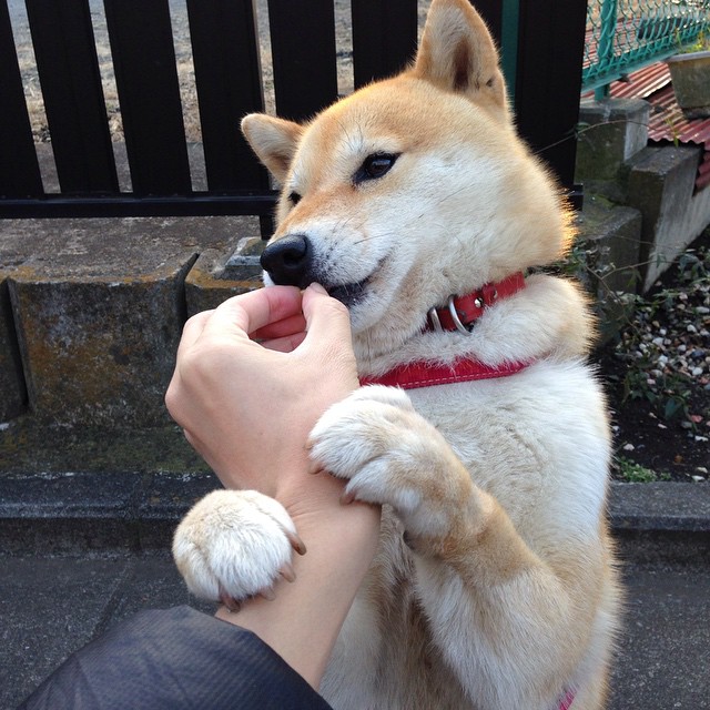 开云平台-史上最“炸裂”长距离投篮！库里在对阵魔术中投出距离超过70英尺的三分球！