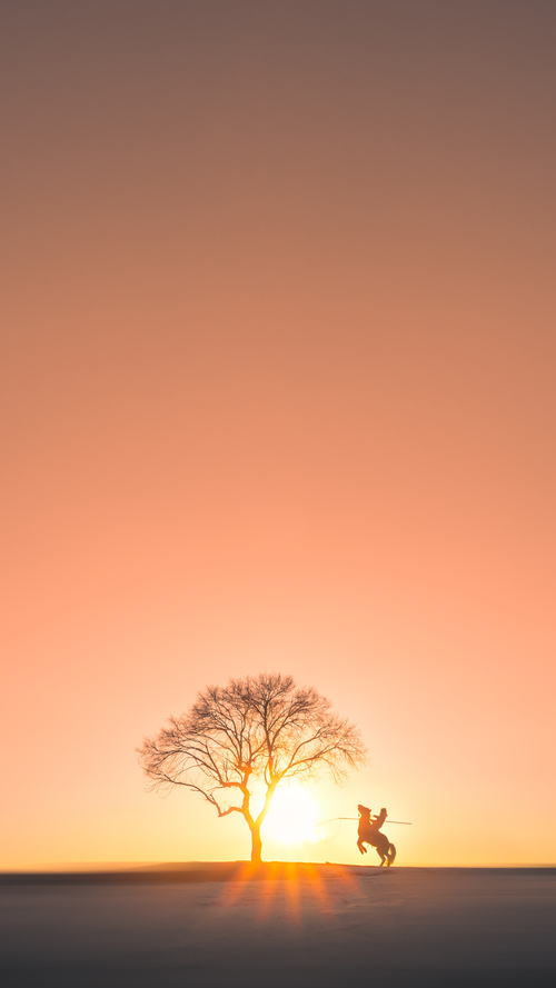 开云中国-意甲：萨索洛1-2败给亚特兰大，狼烟再起，萨索洛主帅