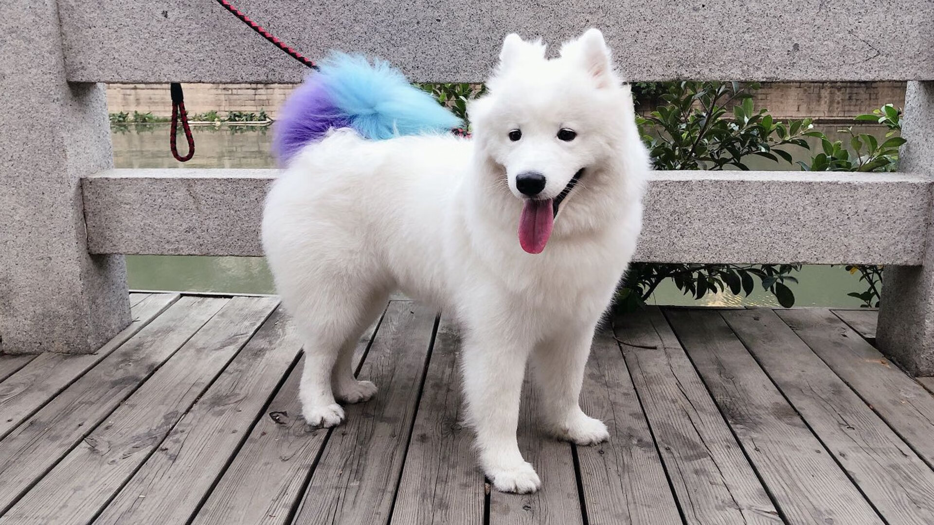 西甲场面火爆，球员分享赛场心声，西甲球队vll