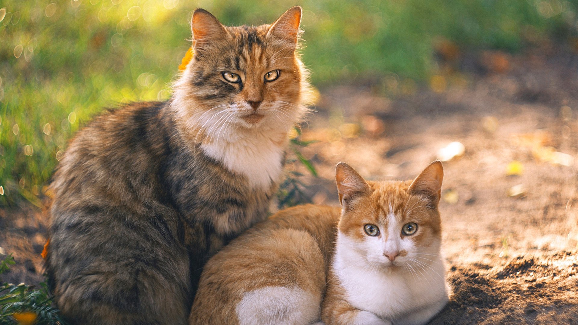 kaiyun官方入口登录-赛事安保升级：确保比赛安全有序进行，赛事安保总结