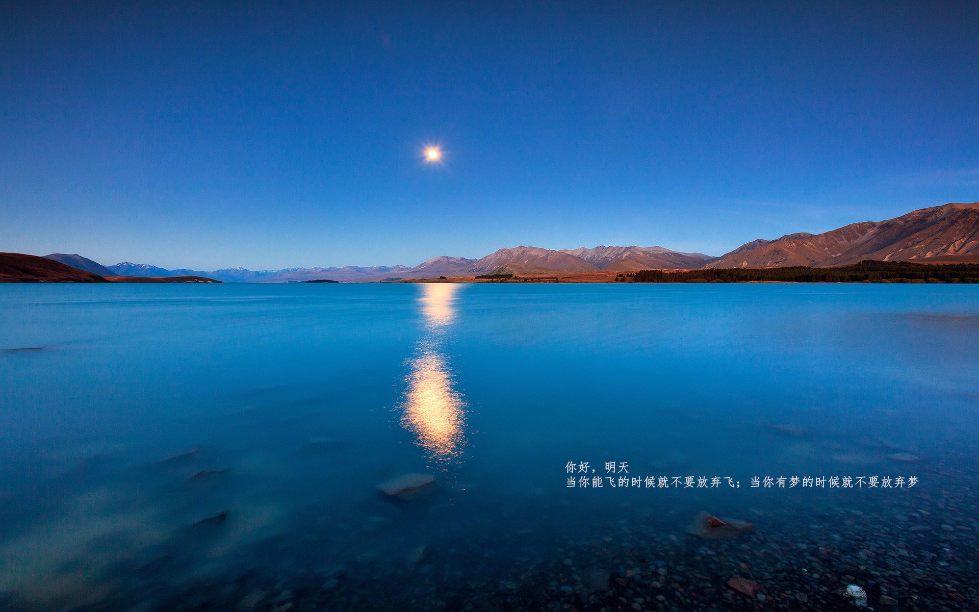 开云网页版-青年选手崛起改变战队格局，崛起的青年