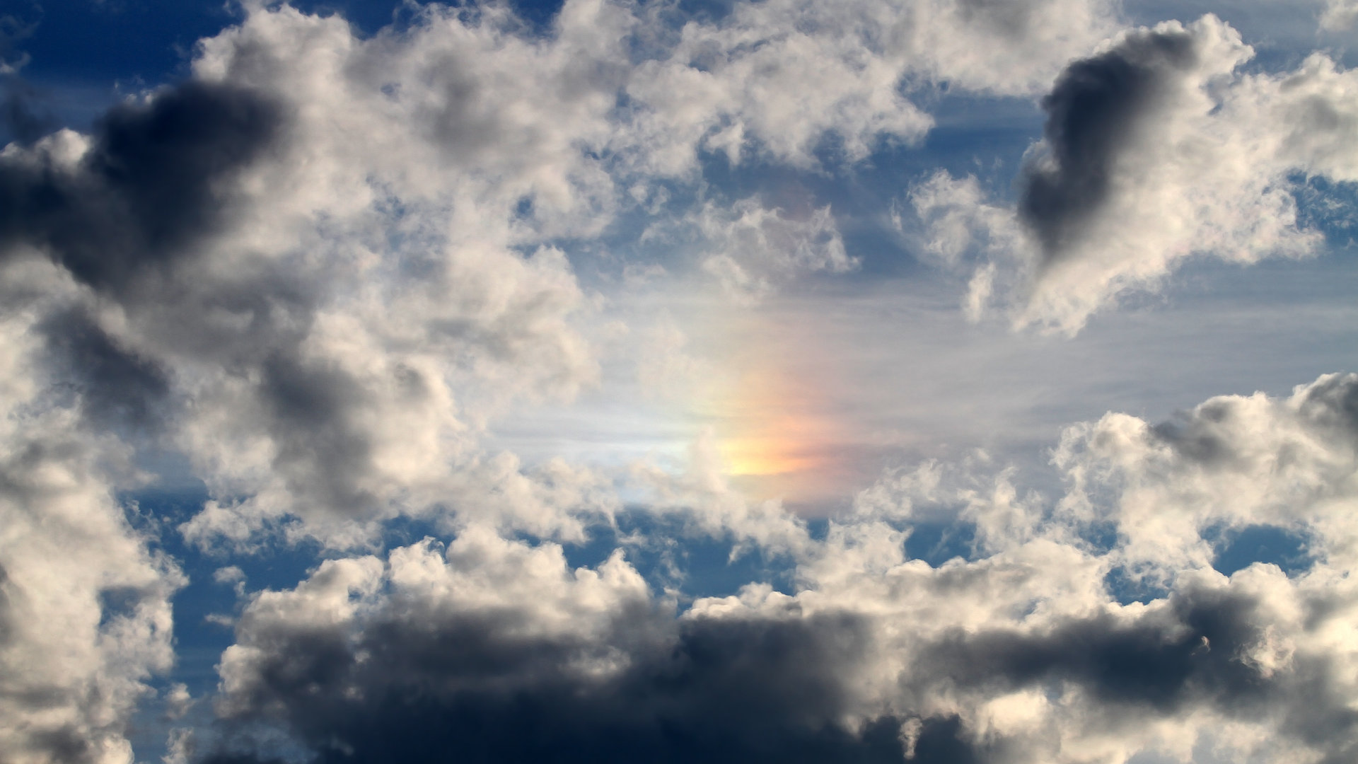 开云官方-伊朗队中场罗德里格斯在巴黎奥运会上展现出强大的组织能力，德国队 罗伊斯