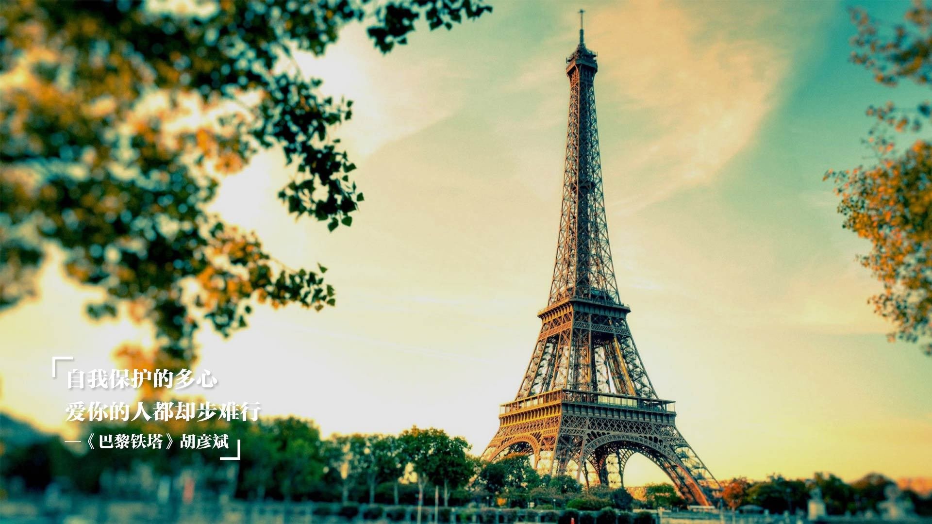 女足联赛竞争激烈，冠军悬念持续，女足联赛介绍