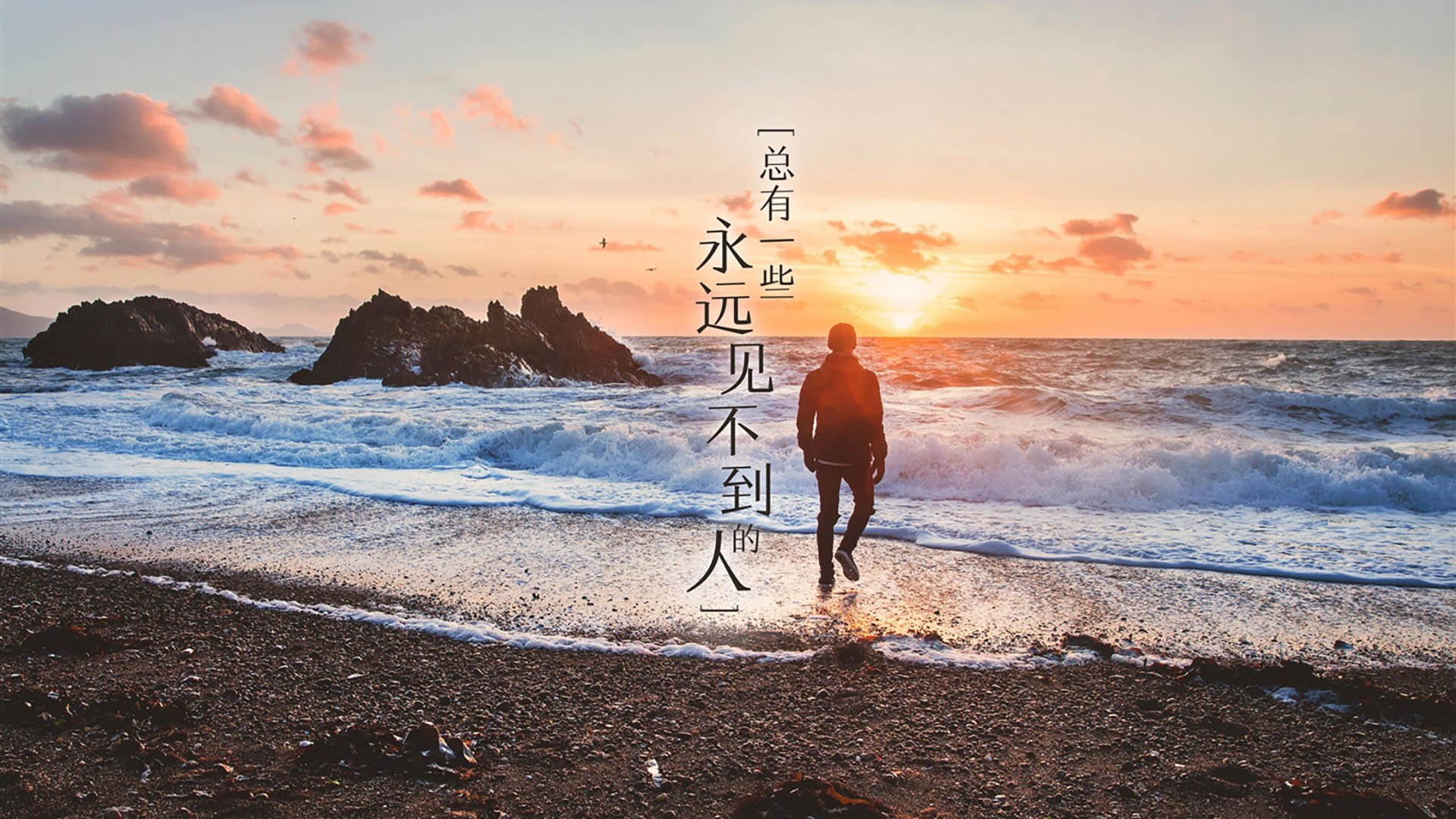 kaiyun网站-德国马术协会与亚洲马术协会建立合作关系，推动区域发展。，德国选手马术比赛