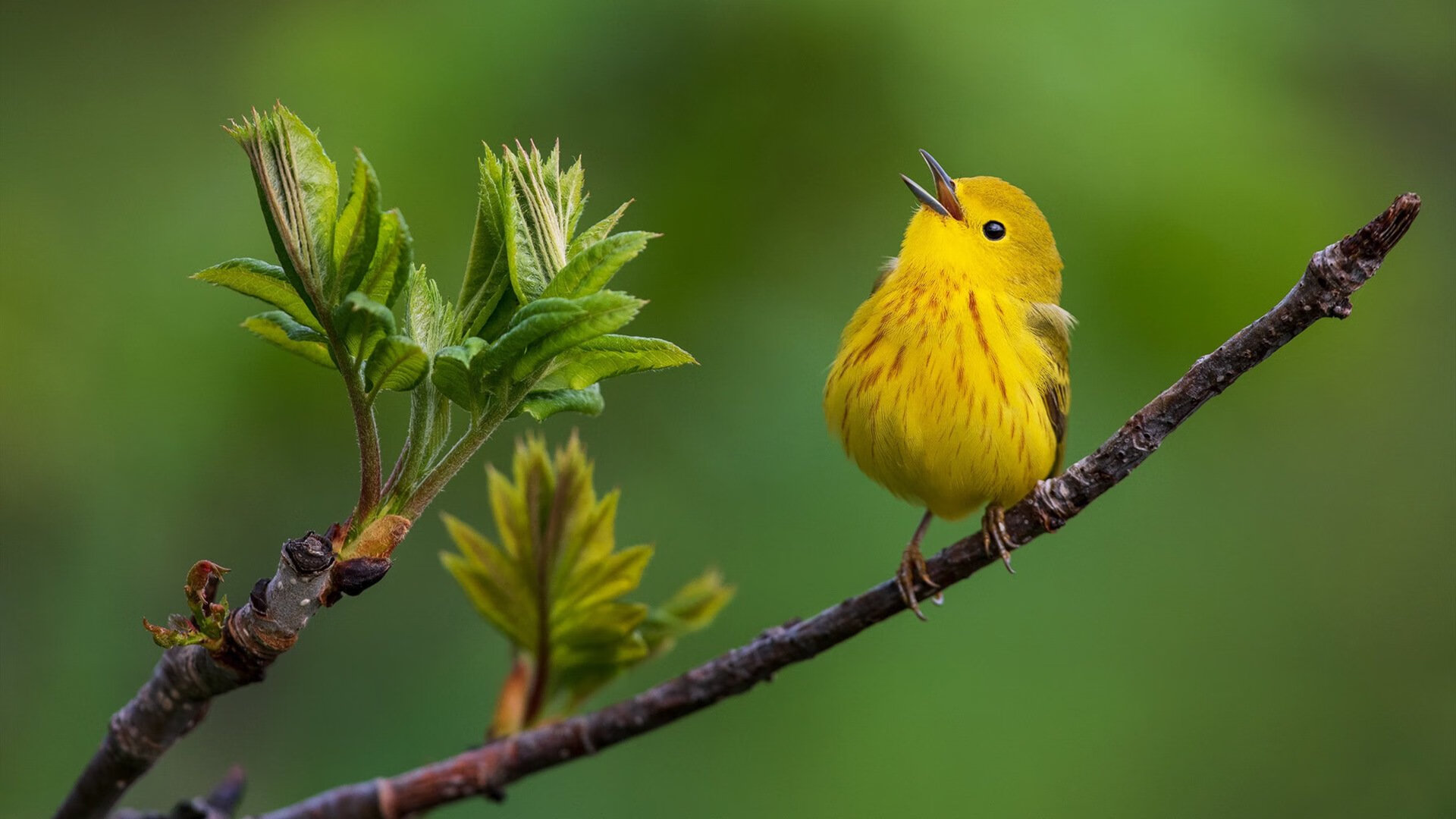 开云体育APP下载-欧锦赛资格赛末轮大战日益激烈，沸腾的赛场，欧锦赛战果