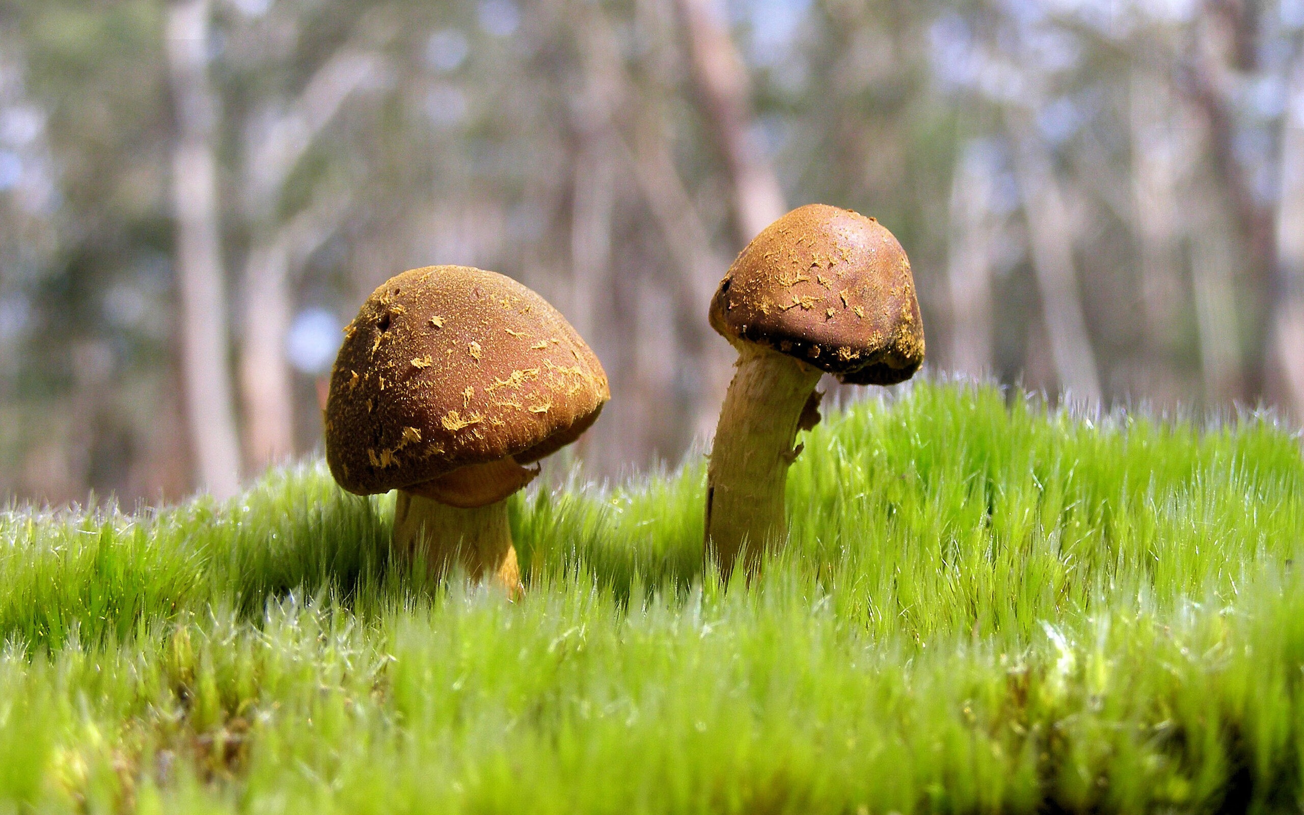 开云中国大陆-精彩可期：亚洲足球明星闪耀赛场，亚洲的足球明星