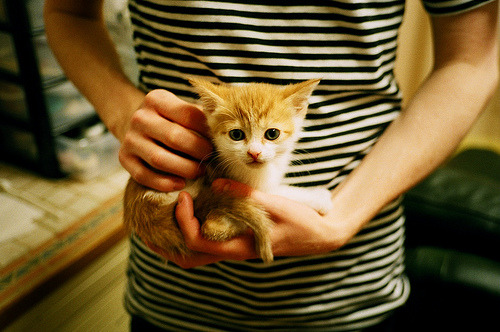 开云网页版-英格兰金牌梦破碎，但赢得尊重，英格兰联赛奖杯