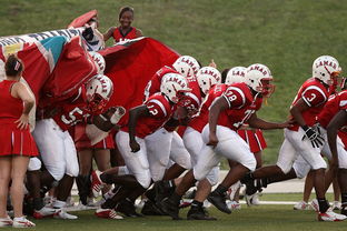 开云官网-全国青少年皮划艇竞速赛在杭州顺利举行，青少年皮划艇夏令营活动