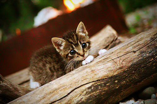 kaiyun开云·官方网站-国足国际比赛经验与成长分析，国足比赛历程