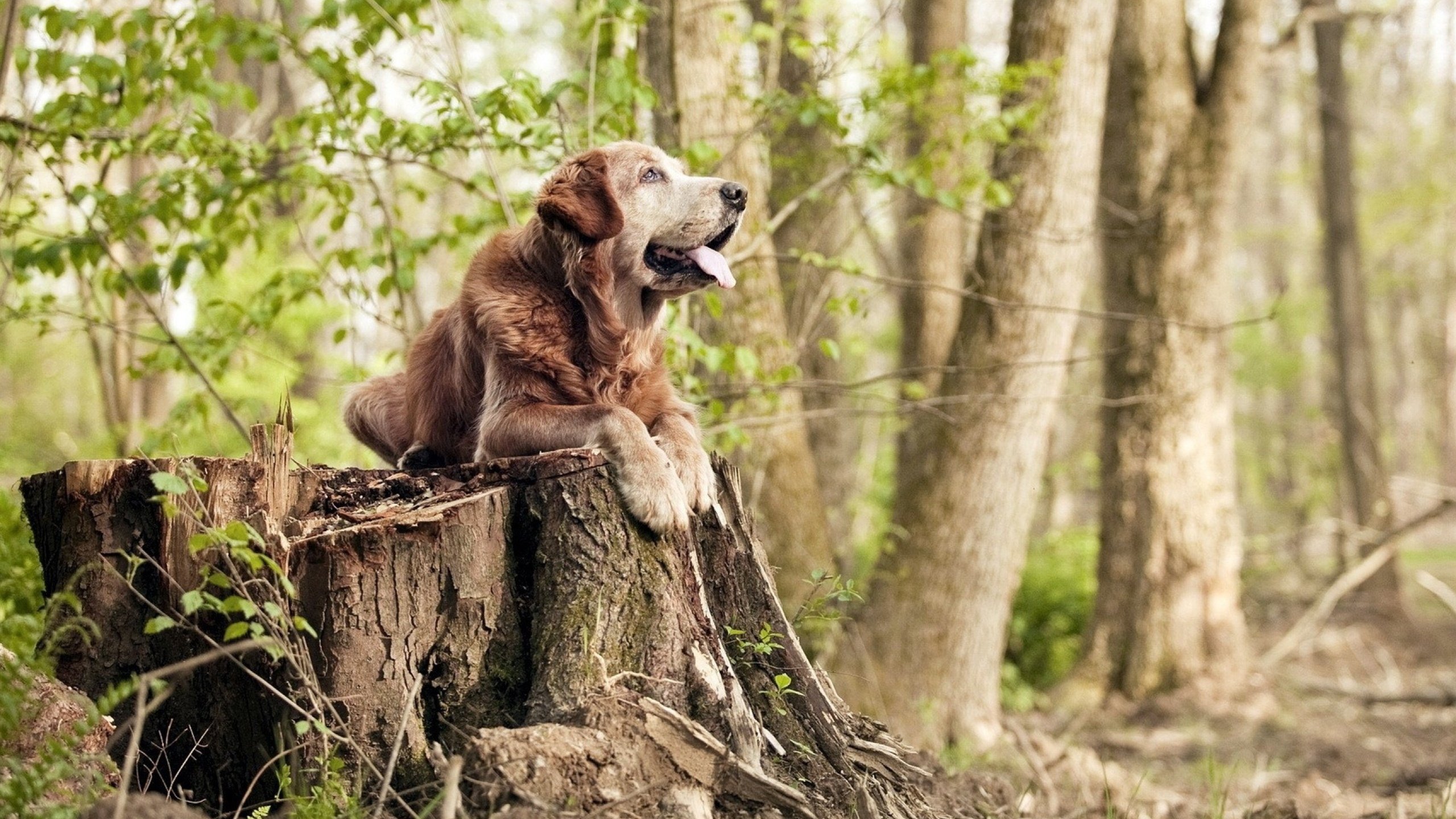 kaiyun网站-CBA休赛期球员状态管理成为重点，cba休息