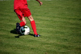 开云·Kaiyun网页版-内线球员在快节奏体系下的功能性演变，内线球员的主要作用