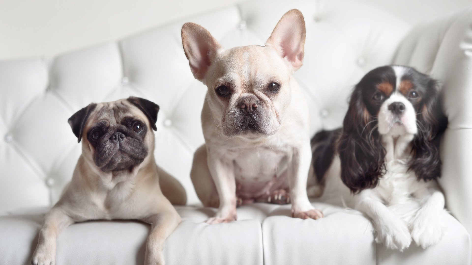 kaiyun中国官方网站-自由搏击赛事规模扩大竞技水平提升，自由搏击职业联赛