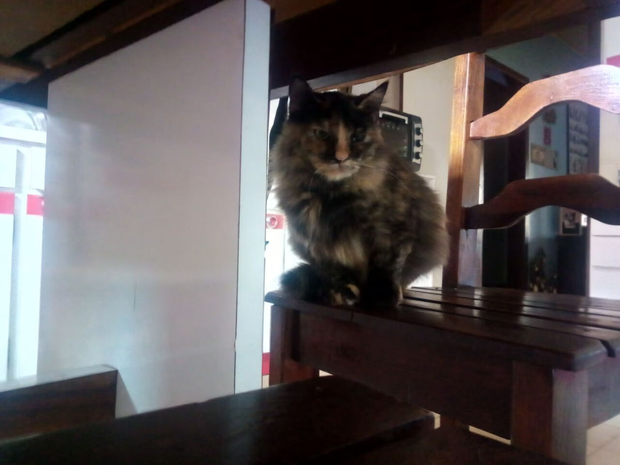 裁判违规申诉机制保障各方权益，生效裁判程序违法