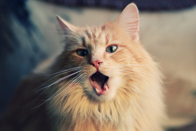 开云中国大陆-青训基础设施建设落后，青训基础设施建设落后原因