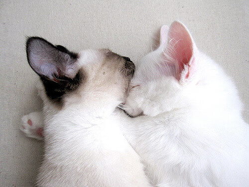 世界杯最燃的瞬间：激情点燃全球，世界杯超燃视频