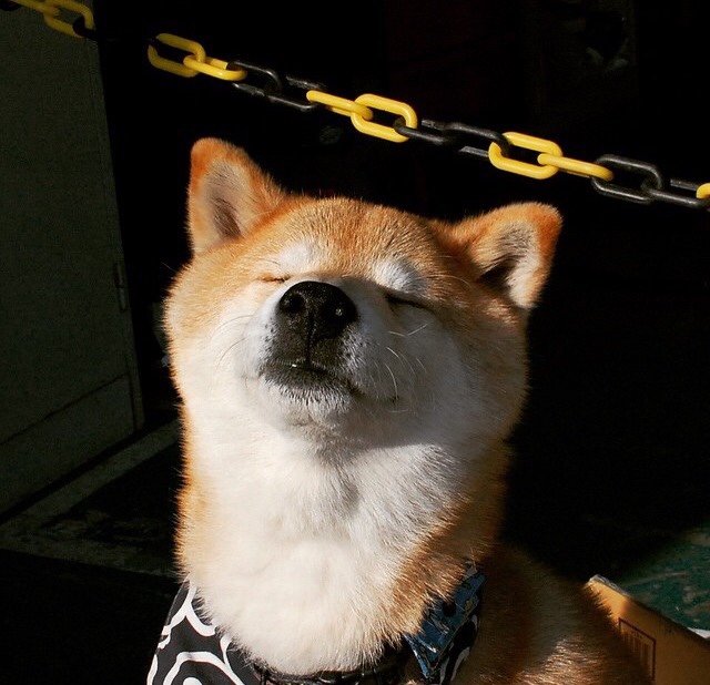 勇士团队强调无球跑动对空间创造的重要性，nba现役无球跑动排行