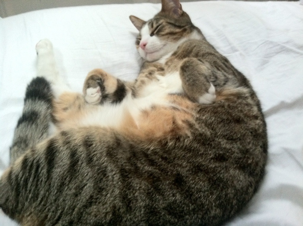 球队青训成果展示赛吸睛，未来国手初露锋芒，2020青训队