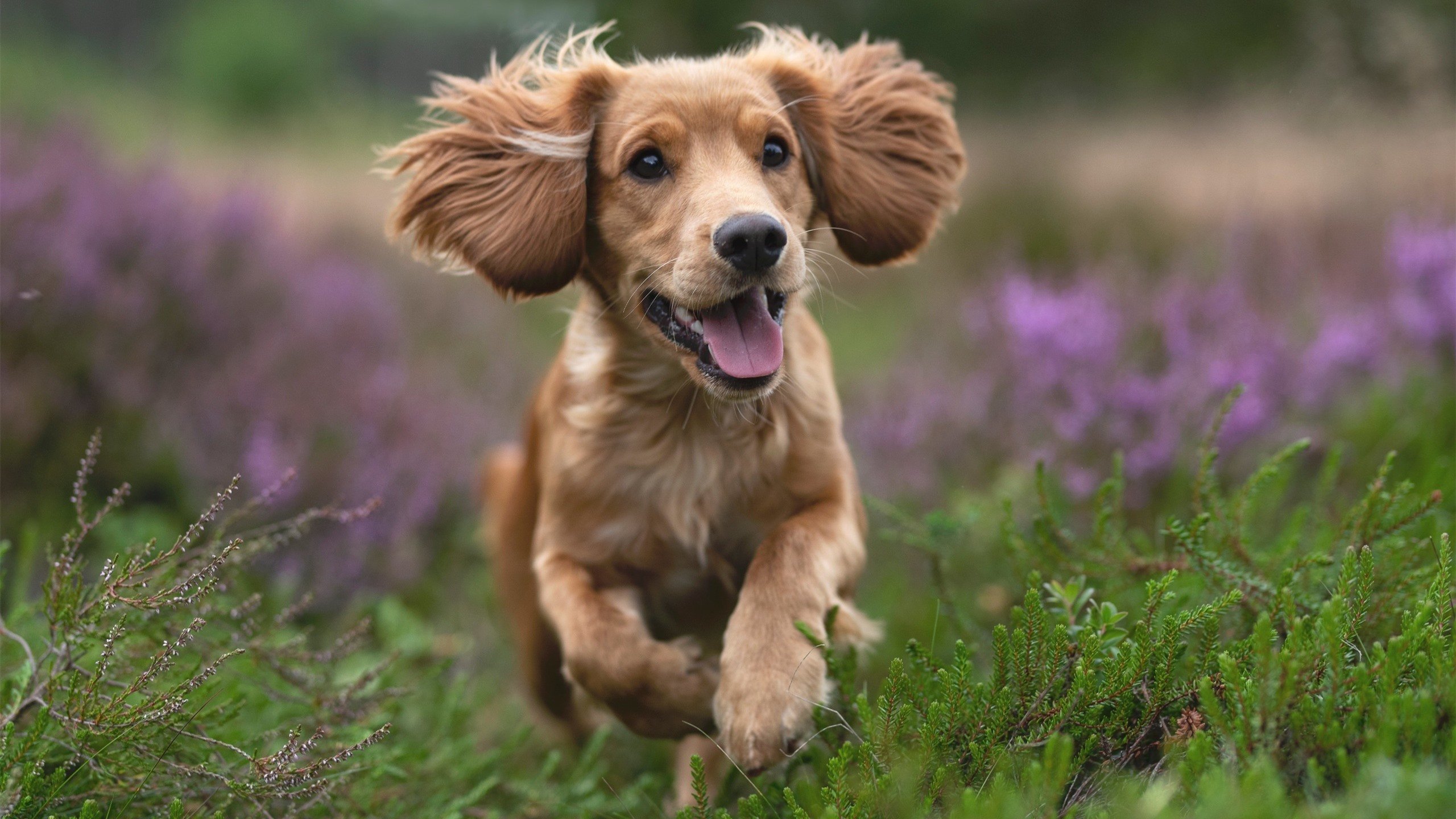 Kaiyun官方登录入口-赛季收官阶段排位形势愈加复杂每场比赛皆为生死战，赛季完美收官