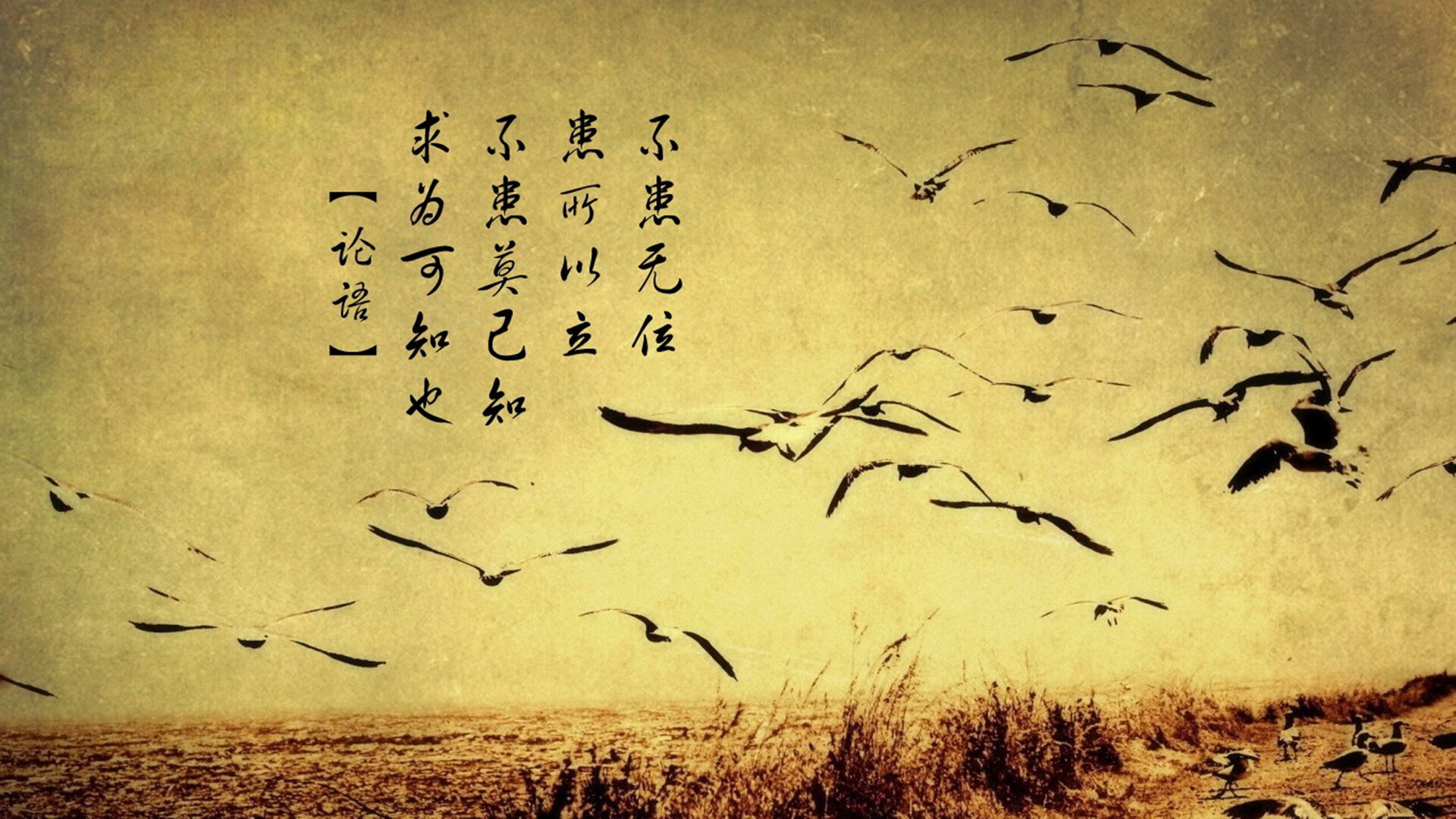 鹈鹕前锋积极参与队内会议提升责任感,鹈鹕队前身叫啥名