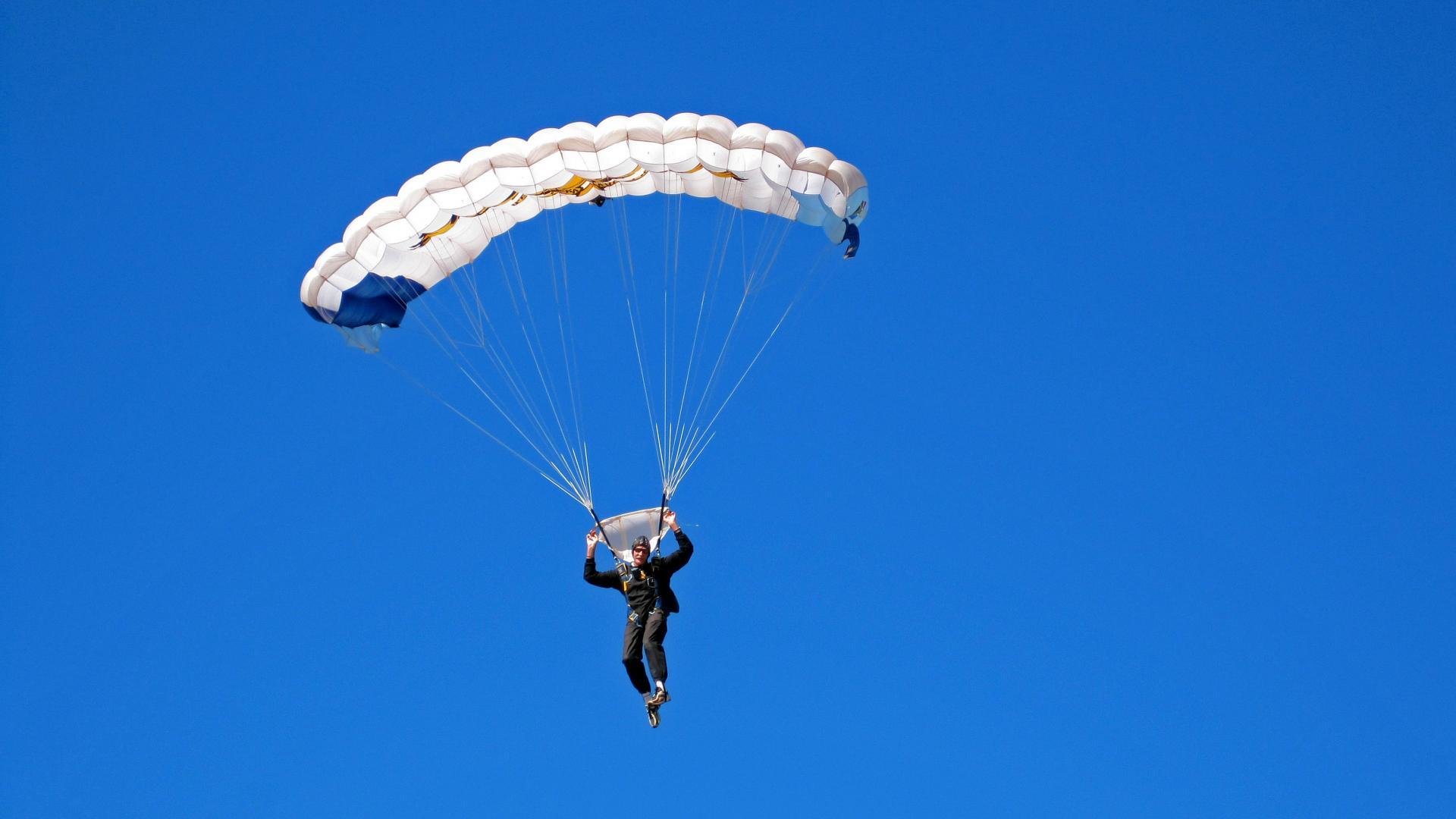 【自动判罚系统】科技让每一个判决如“天命”般精准，自动履行法院判决程序